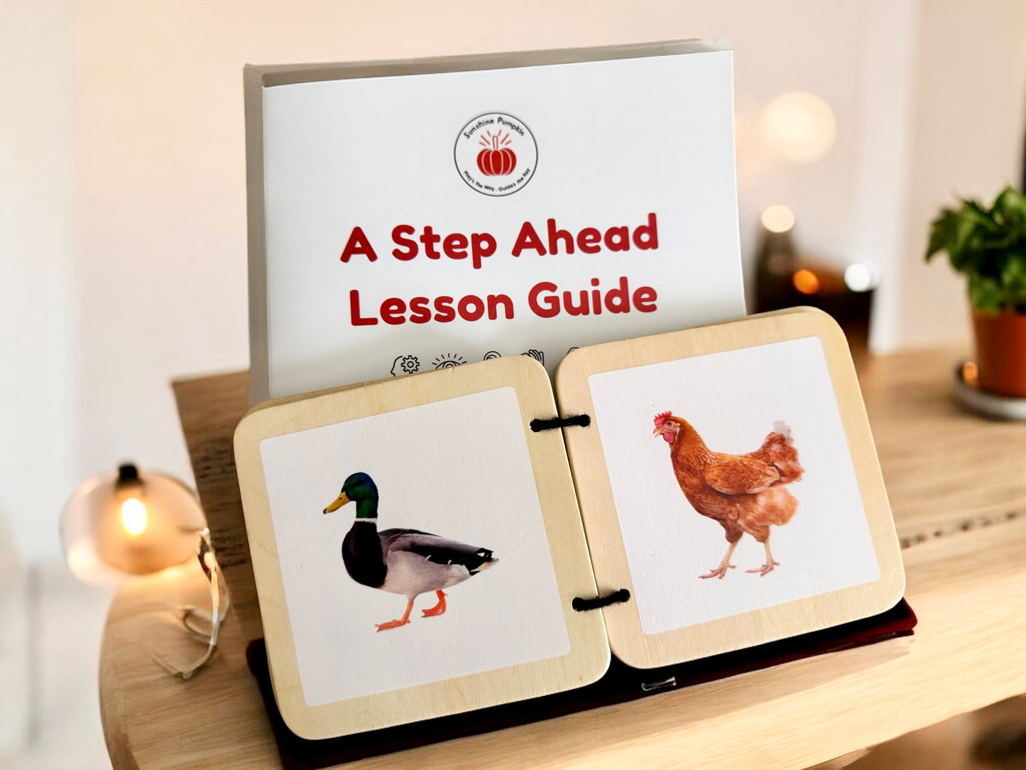 "A Step Ahead" 7 - 12 months Kit