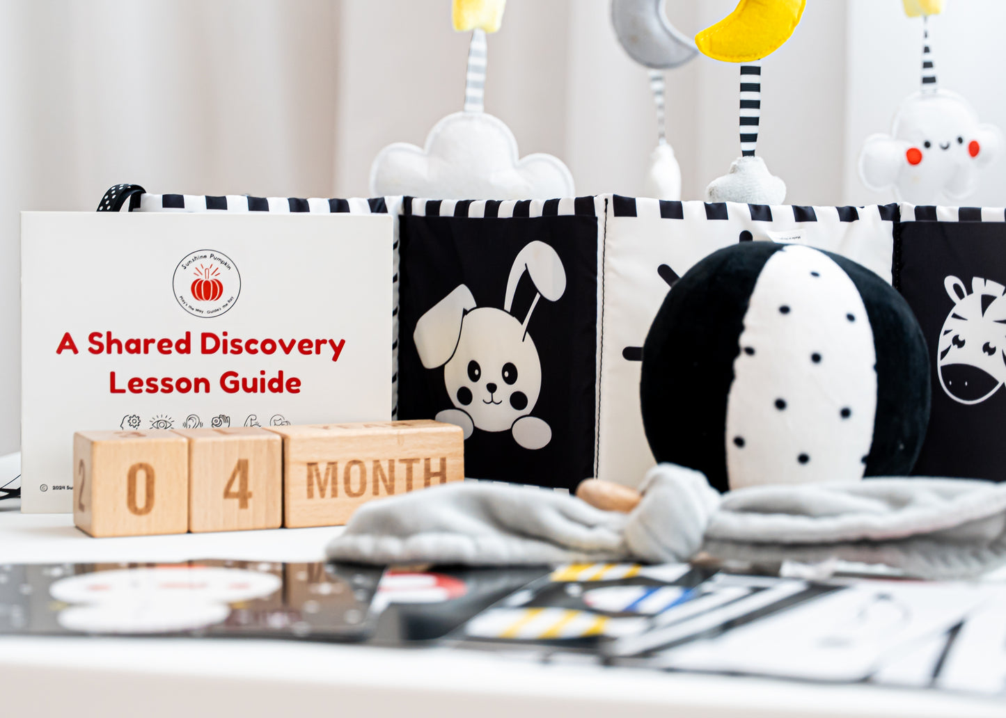 "A Shared Discovery" 0 - 4 Months Kit