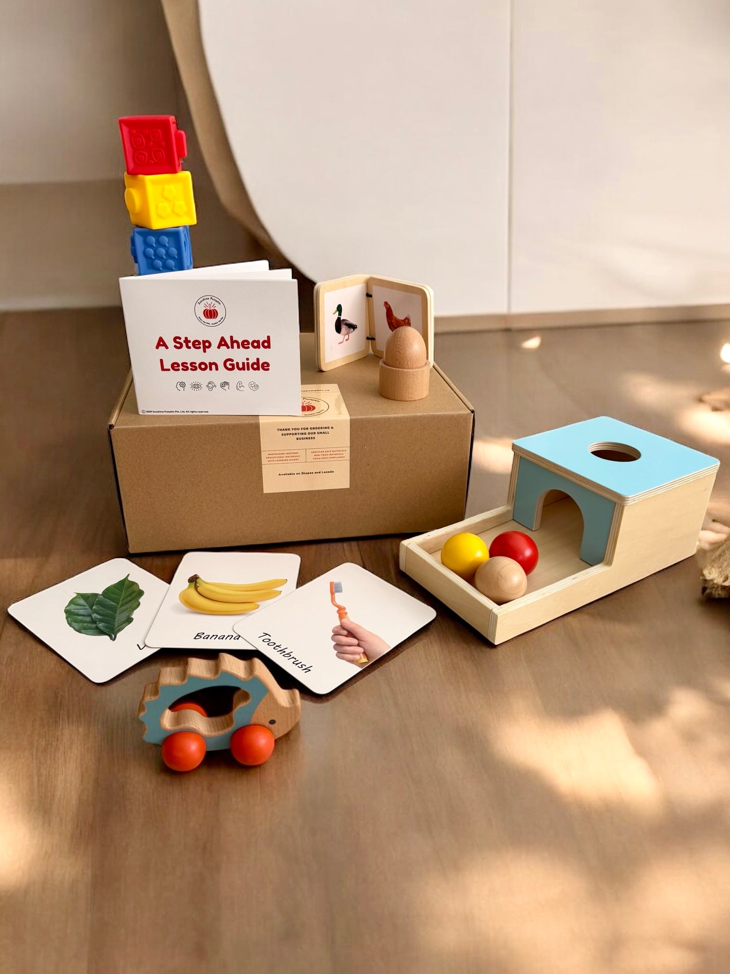 "A Step Ahead" 7 - 12 months Kit