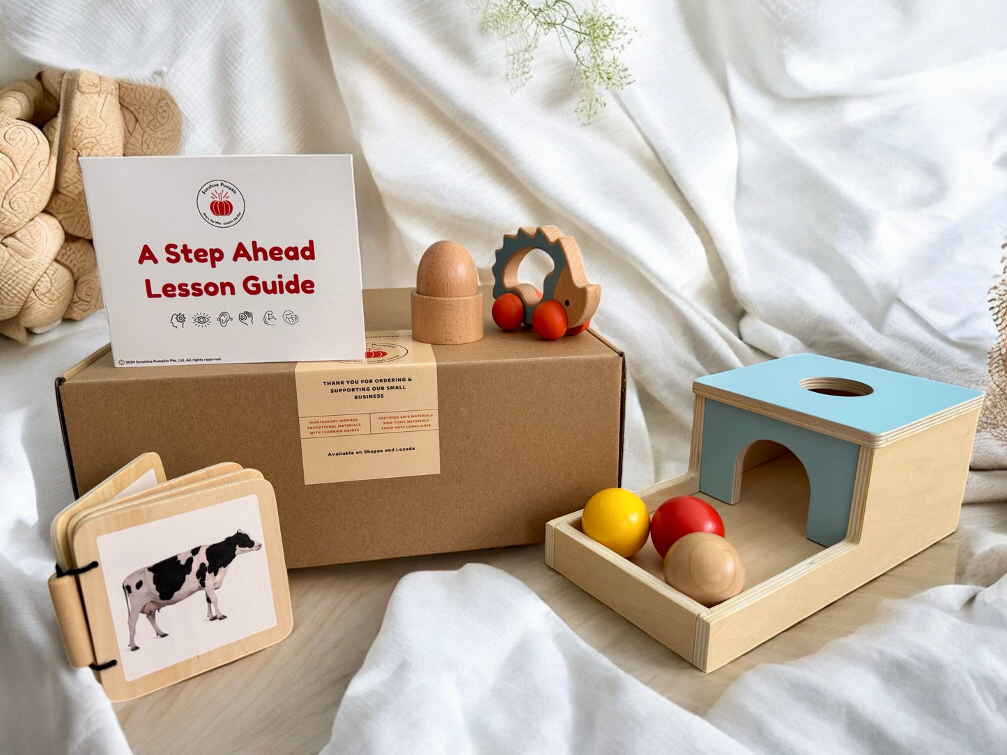 "A Step Ahead" 7 - 12 months Kit