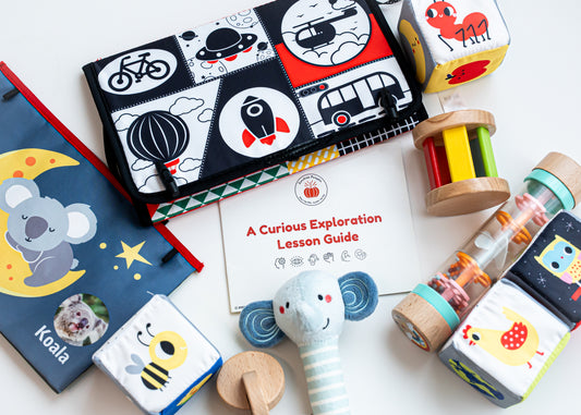 "A Curious Exploration" 4 - 6 months Kit