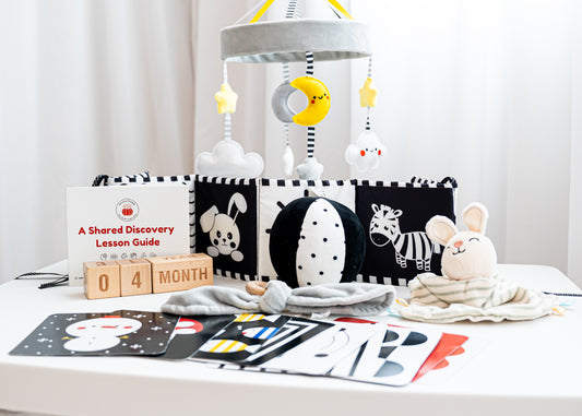 "A Shared Discovery" 0 - 4 Months Kit