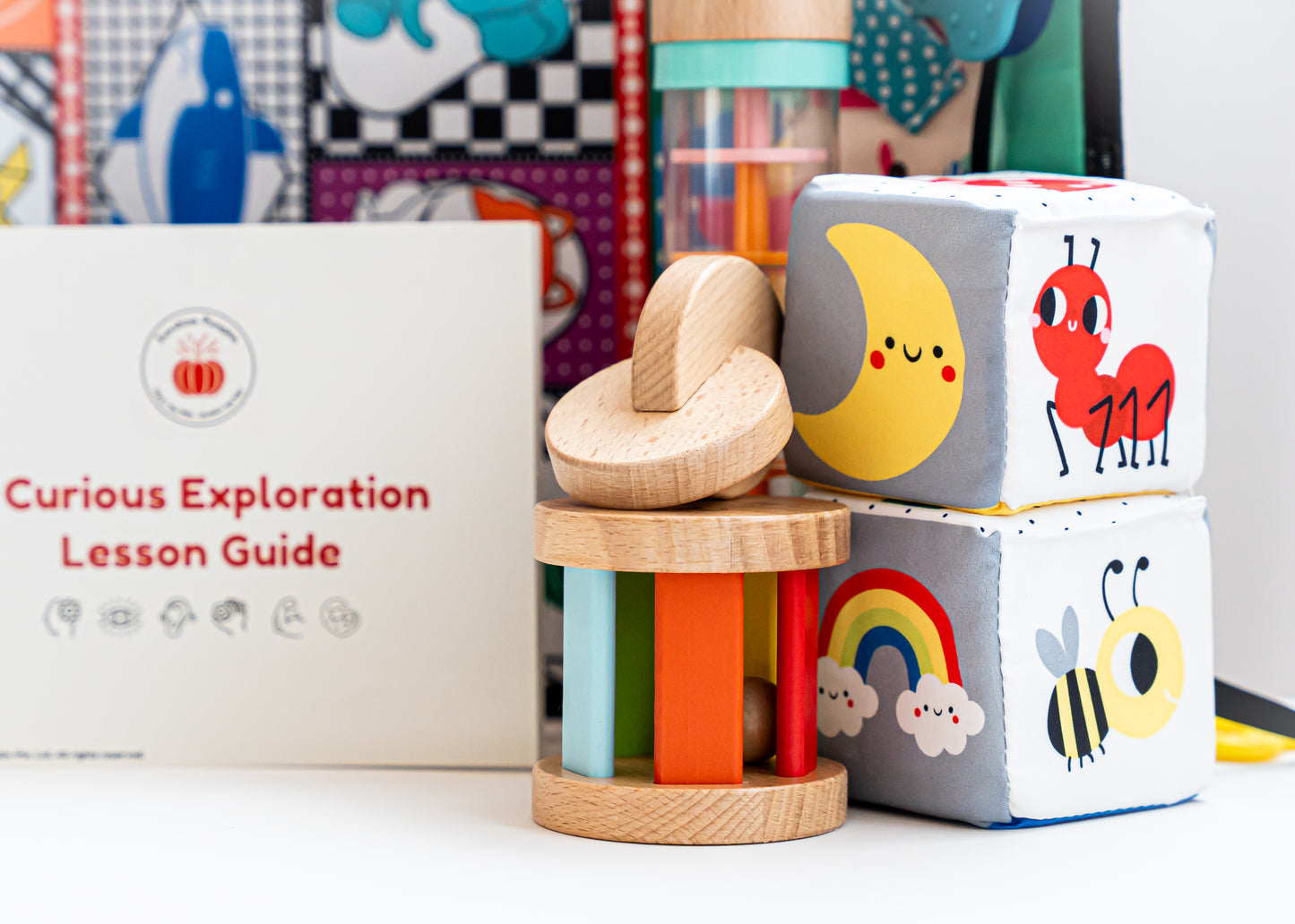 "A Curious Exploration" 4 - 6 months Kit