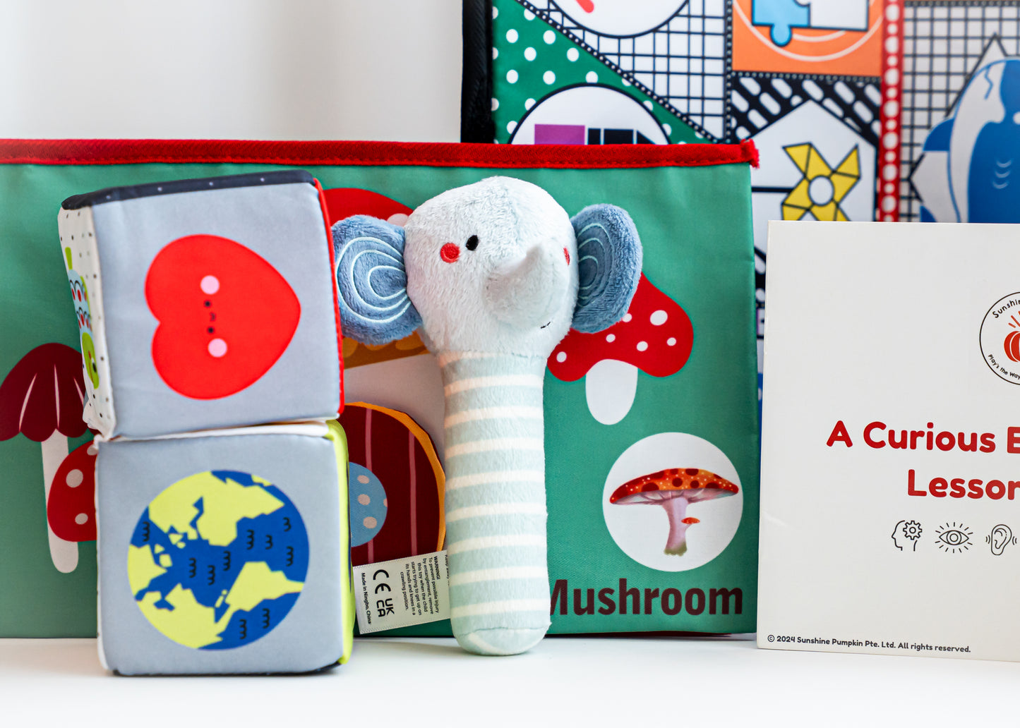 "A Curious Exploration" 4 - 6 months Kit