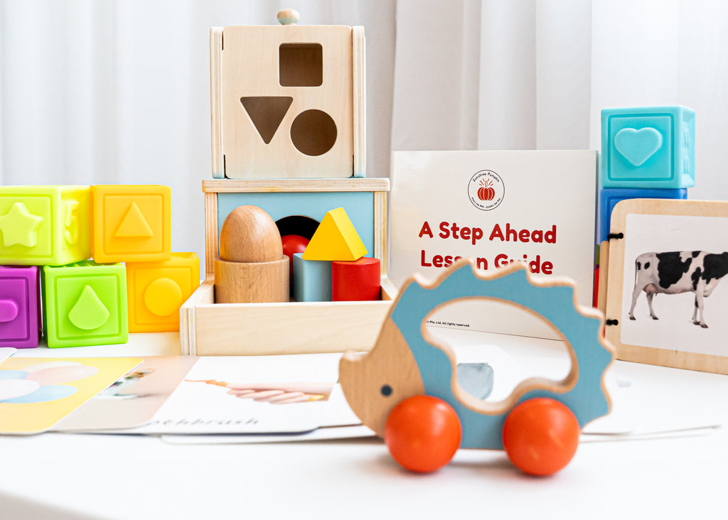 "A Step Ahead" 7 - 12 months Kit