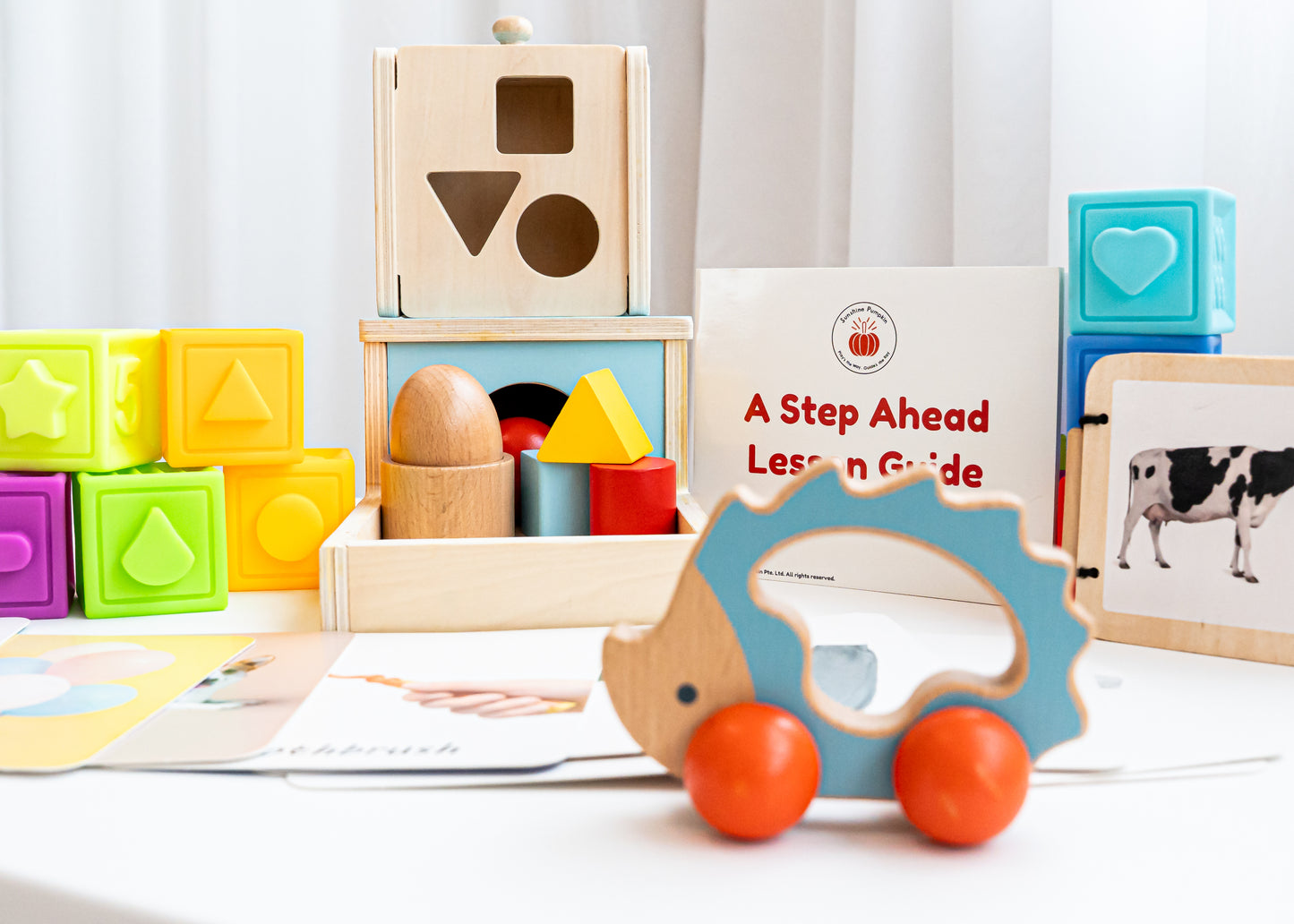 "A Step Ahead" 7 - 12 months Kit
